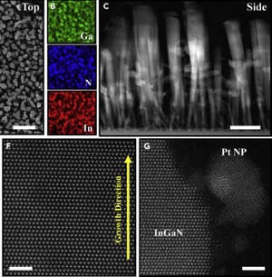 InGaN_nanowires.jpg